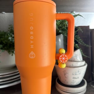 May include: Orange Hydrojug with a handle and a decorative orange slice charm. The jug has the words "HYDROJUG" printed vertically on the side. The jug is sitting on a wooden shelf.