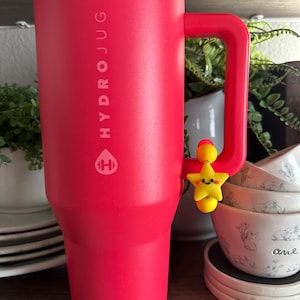 May include: A vibrant red Hydrojug water bottle with a large handle. The bottle has the Hydrojug logo printed on the side. A yellow star charm is attached to the handle. The bottle is displayed on a wooden shelf with other kitchenware.