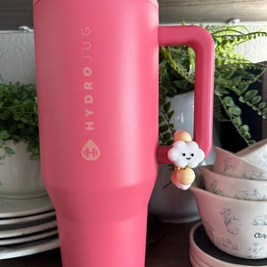 May include: A large, pink Hydro Jug with a handle and the brand name printed vertically. A small, decorative cloud charm is attached to the handle. The jug is sitting on a wooden surface, with plates and bowls in the background.