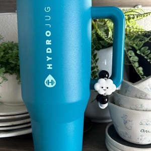May include: A teal HydroJug water bottle with a handle and the brand name printed vertically. A charm with a white cloud and black beads hangs from the handle. The background includes plants and stacked bowls.