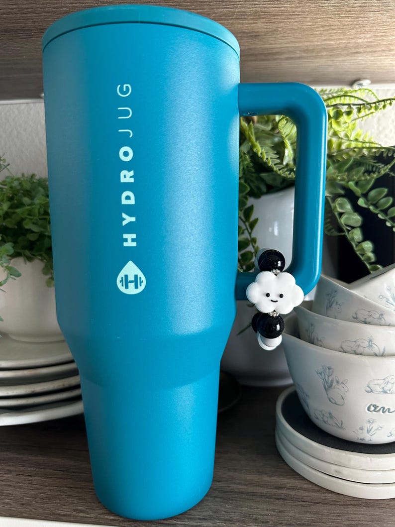 May include: A teal HydroJug water bottle with a handle and the brand name printed vertically. A charm with a white cloud and black beads hangs from the handle. The background includes plants and stacked bowls.