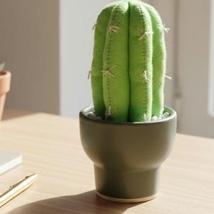 Viltcactus in pot (S)