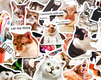 Pacote com 50 adesivos de memes de gatos, adesivos engraçados de gatos, adesivos virais de gatos bobos, adesivos fofos de gatinhos, adesivos à prova d'água para amantes de gatos.