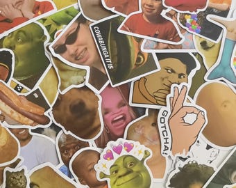 Pack of 50 Funny Meme Stickers, Reaction Face Stickers, Pop Culture Stickers, Waterproof Stickers for Scrapbook, Laptop, Water Bottle
