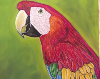 Macaw Parrot  Print or of the  Original Painting-Scarlet macaw-  Scarlet macaw-Hand painted art-Handmade art