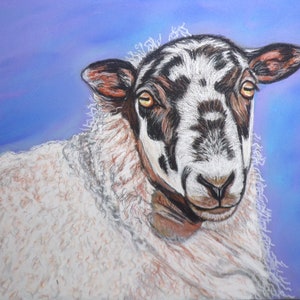 Sheep  painting, Sheep art, sheep gift, farm animal art ,original painting ,wall decor-Hand painted art- handmade painting