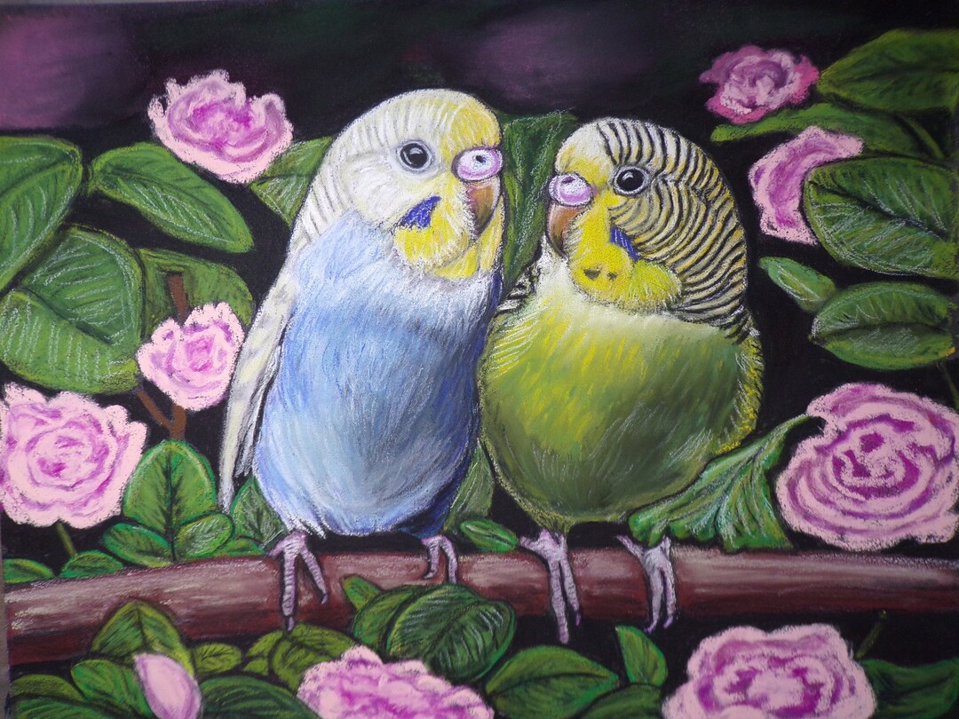 Oil Paint Canvas Art Two Tropical Jungle Parrots Wall Decor cs321S Oil Paint Canvas Art Two Tropical Jungle Parrots Wall Decor cs321S