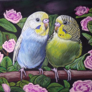 Parakeet painting, budgerigar, budgie painting, parakeet gift-parakeet art bird art- print -pet portrait