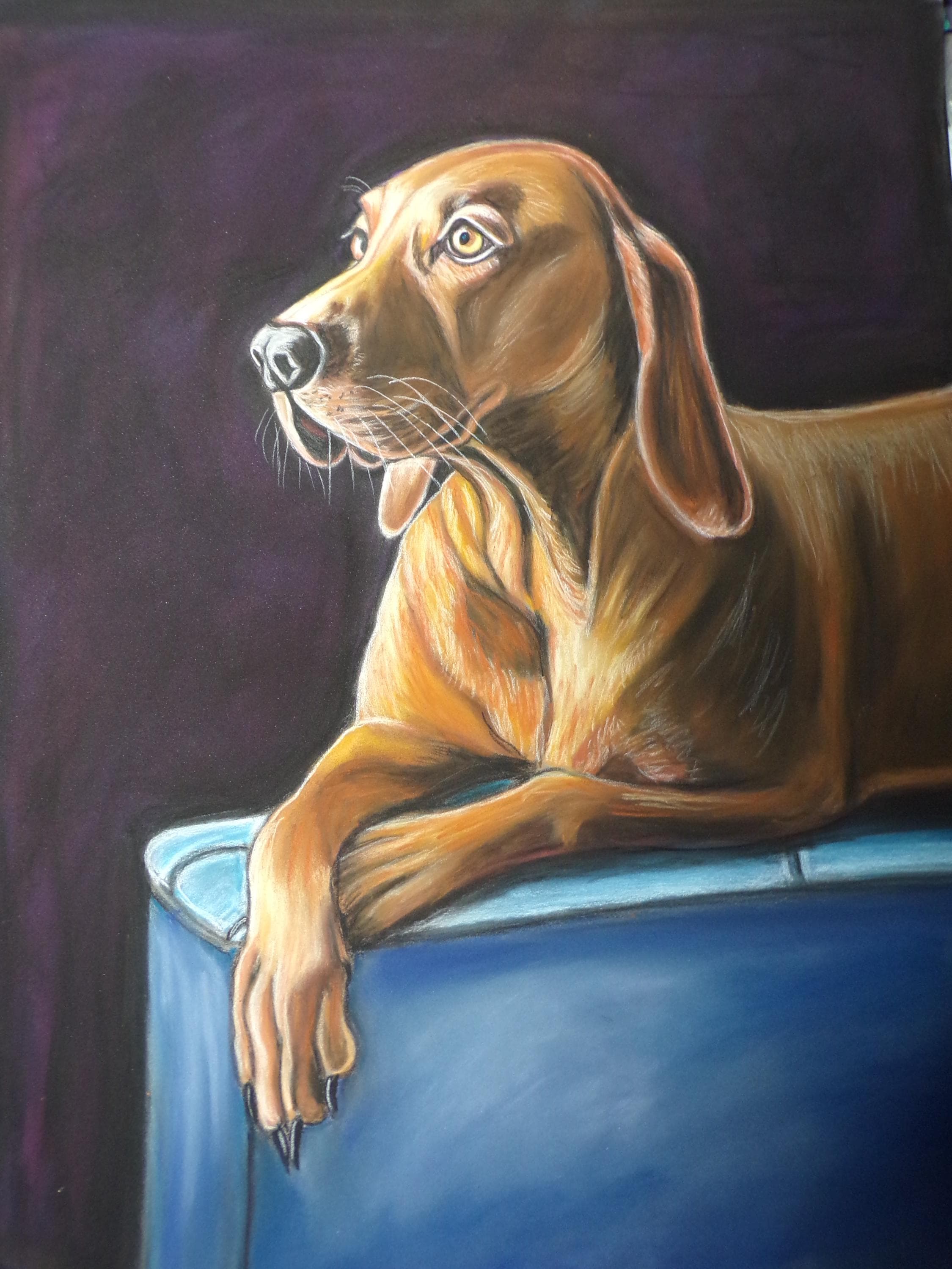 Redbone Coonhound Dog Original Painting- Dog Breed Decor-dog Art