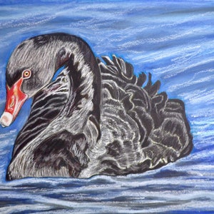 Black swan print of my original painting- Hand painted art- handmade painting-Print