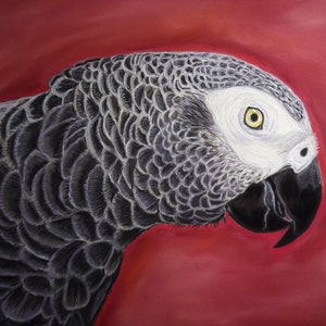 African grey parrot Print of the original painting-pet portrait- parrot wall decor-Print