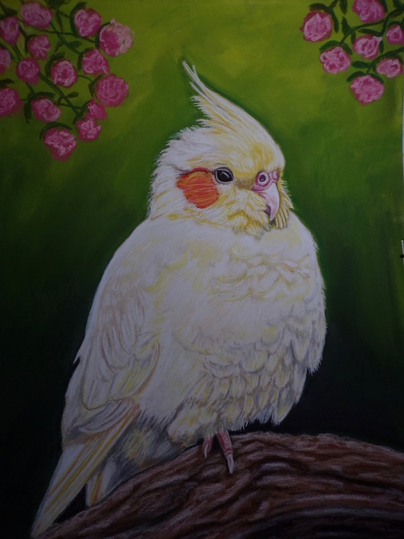 Cockatiel Print Lutino Cockatiel Print Of My Original Painting