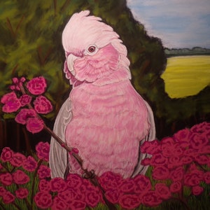 Rose breasted cockatoo, Galah cockatoo painting, parrot art, Print