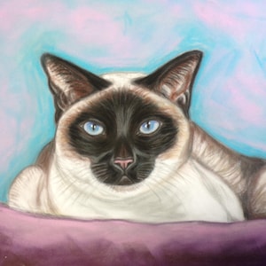 Siamese Cat Original painting-Cat gift -Cat art-Cat decor-Pet Portrait- Hand painted art- handmade painting