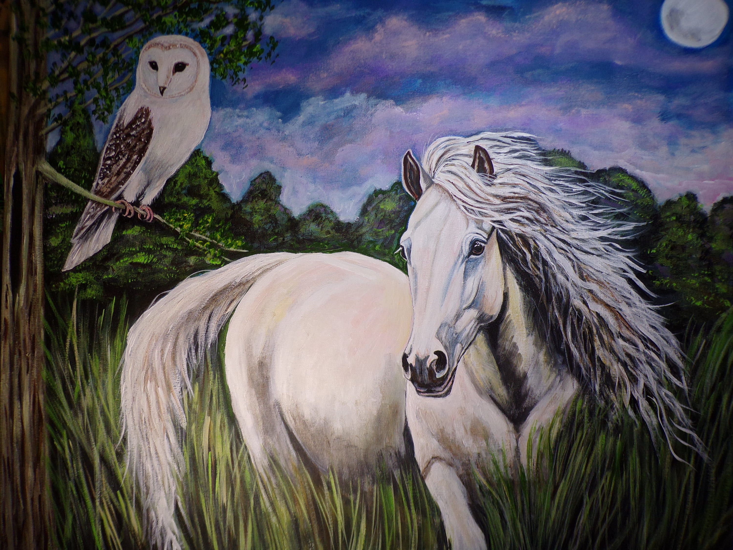 White Horse & Owl Acrylic Painting - Twilight Scene, Handmade Art