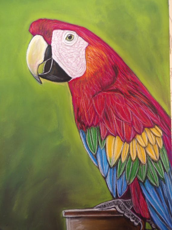 Macaw Parrot Print or of the Original Painting-scarlet Macaw