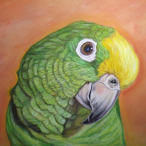 Amazon parrot Print of the original painting- parrot gift -parrot wall decor Parrot print