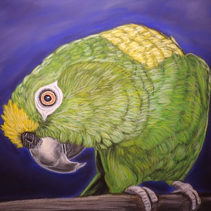 Amazon parrot Print of the original painting, yellow nape amazon, parrot art, parrot print