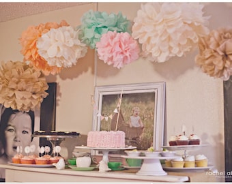 12 Tissue Poms- Vintage Tea Party