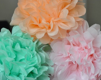 6 Tissue Poms- {Sherbet delight}