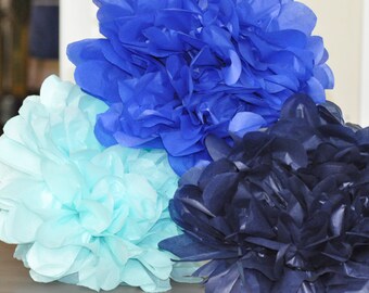 6 tissue poms- Little Man