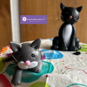 Cat image 3