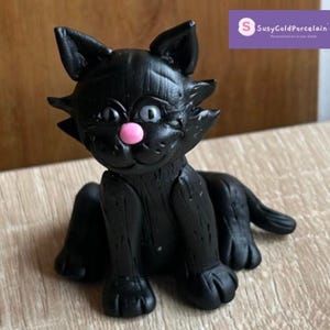 Cat image 5
