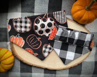 Peut inclure: Bandanas et accessoires pour animaux de compagnie sur le thème d'Halloween. Un bandana présente des citrouilles oranges sur fond noir. Un autre a un motif à carreaux noir et blanc. Une petite citrouille orange et jaune est également visible.