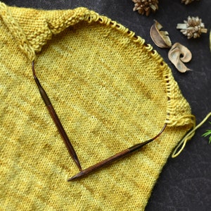 24 Inch (60 cm) GINGER Circular Knitting Needles Knitter&#39;s Pride - KnitPro