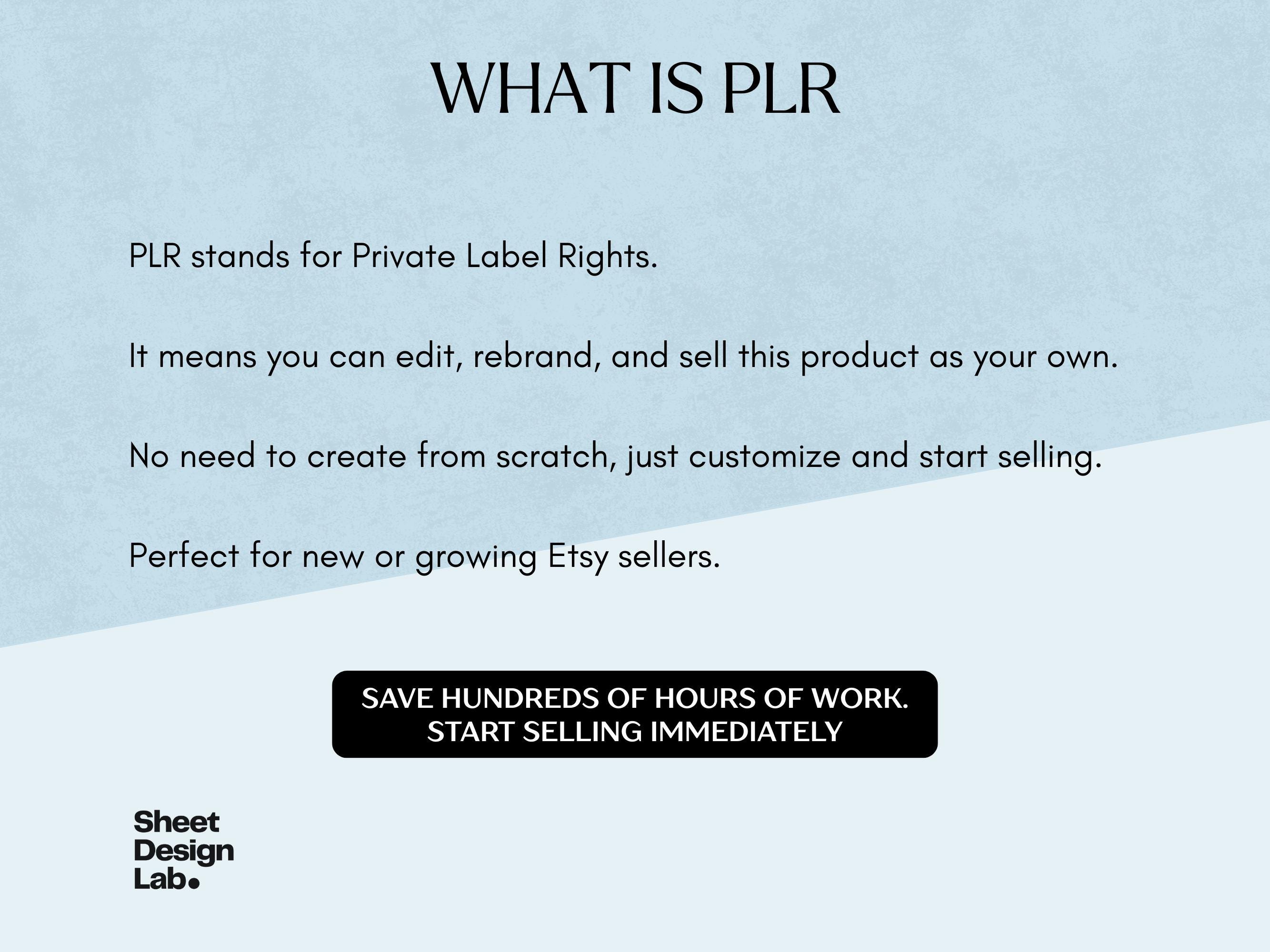 Private Label Rights PLR Budget Planner Spreadsheet Bundle Annual ...