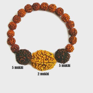 Rudraksha Rudraksha 2&5 Mukhi (Gesicht) Perlen Mala Armband Armband