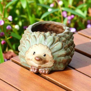 May include: A ceramic hedgehog planter with a light green and tan color scheme. The planter has a detailed face and body, with a textured surface. The hedgehog planter is sitting on a wooden surface.