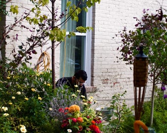 garden sculptures