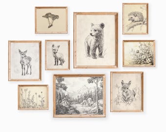 Woodland Nursery Wall Art Gallery: Nature Animal Sketch Collection for Neutral Baby Room Decor