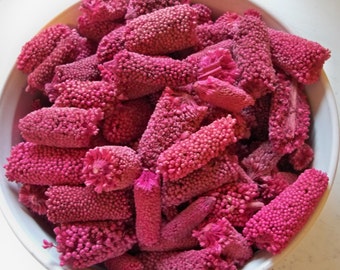 Dried Babu-Dyed Hot Pink