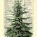 Christmas Tree Home Kitchen Nursery Bathroom Office