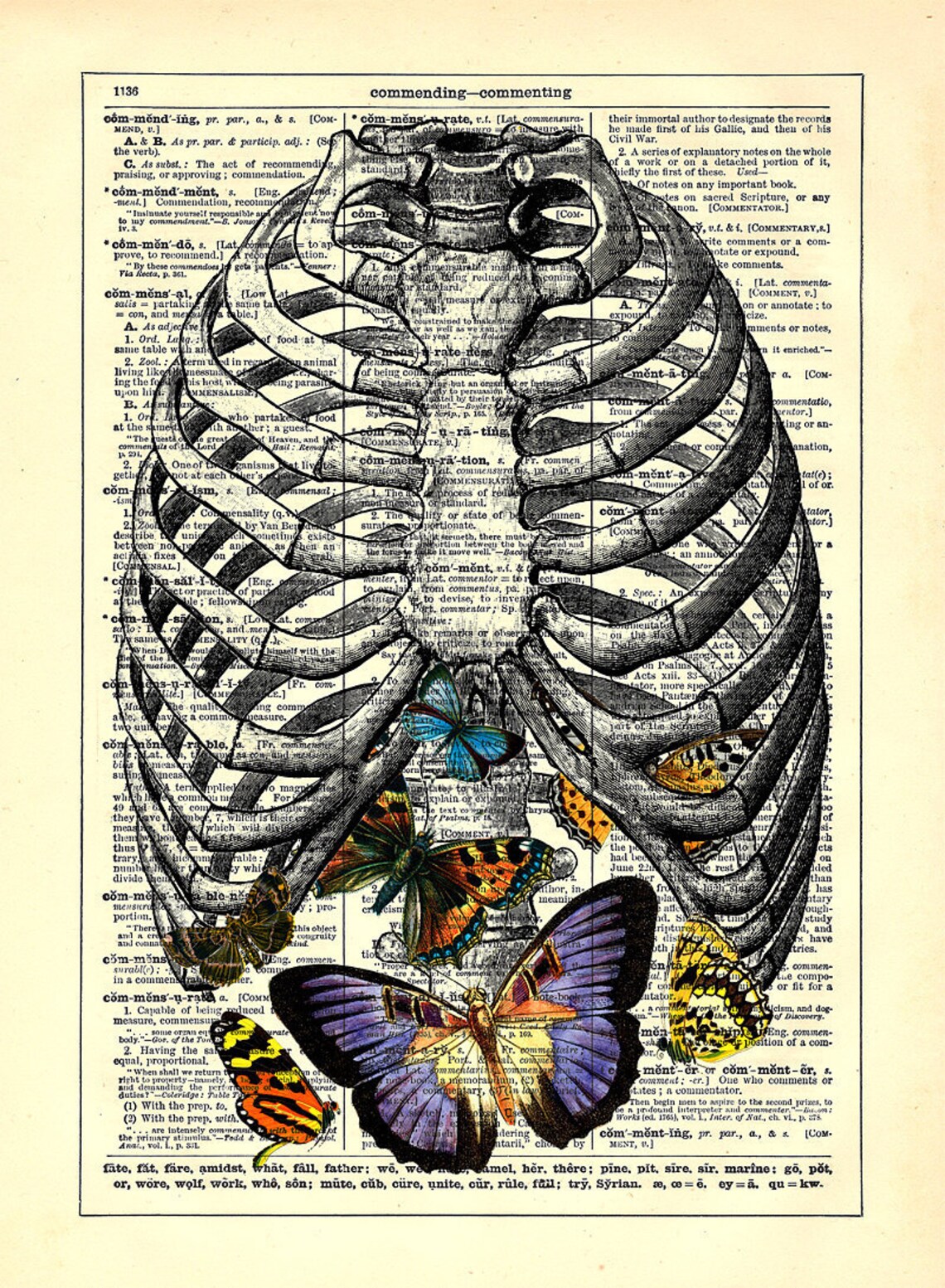 Anatomy Rib Cage Butterflies Home Kitchen Nursery Office Etsy