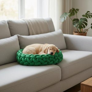 Puede incluir: Un cachorro golden retriever durmiendo descansa en una cama redonda trenzada verde para mascotas sobre un sofá gris claro. La cama es de un verde vibrante, contrastando con los tonos neutros del sofá y el pelaje del cachorro. Escena de decoración del hogar.