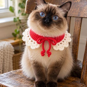 May include: A crochet pet collar featuring a vibrant red neckband with a scalloped cream-colored lace edge. The collar includes a central red crochet bow tie with two dangling ends, designed to be worn around the neck of a cat.