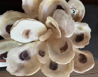 Magnolia flower made from oyster shells
