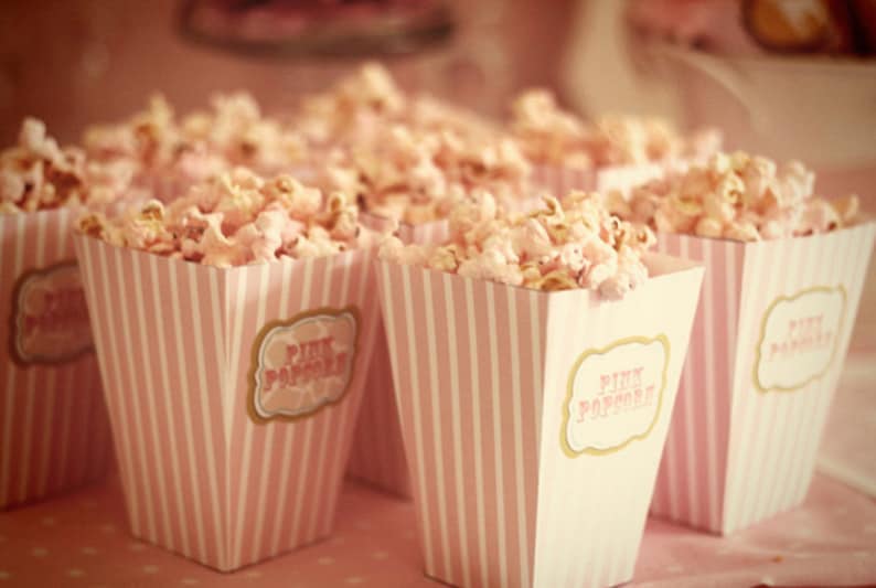 DIY PRINTABLE Popcorn or Cotton Candy Box image 1