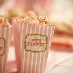 DIY PRINTABLE Popcorn or Cotton Candy Box image 2
