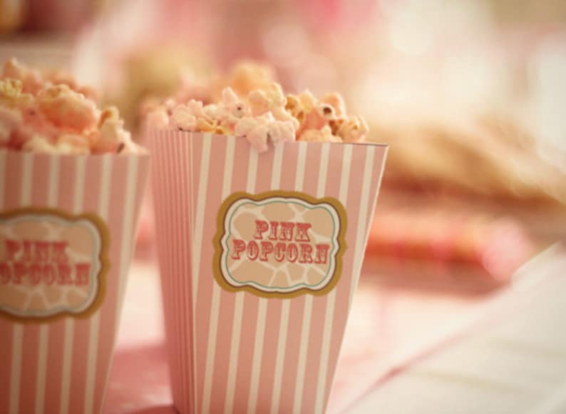 DIY PRINTABLE Popcorn or Cotton Candy Box image 2