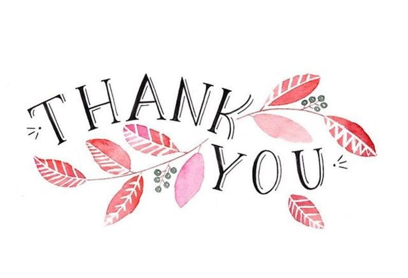 May include: A watercolor illustration with the words "THANK YOU" in black, outlined letters. The text is adorned with a floral design featuring red and pink leaves and small green berries, all set against a white background.