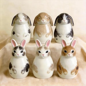May include: Six ceramic bunny figurines in various colors, including white, brown, and black. The bunnies have closed eyes and upright ears. The figurines are arranged in two rows of three, with a soft, neutral background.