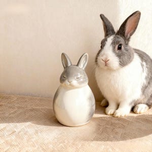 Puede incluir: Una figura de conejo de cer&aacute;mica gris y blanca con los ojos cerrados, junto a un conejo vivo gris y blanco. La figura tiene orejas largas y un cuerpo redondeado. El conejo vivo tiene las orejas erguidas y mira a la c&aacute;mara.