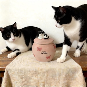 Puede incluir: Una urna funeraria rosa de cerámica con tapa, adornada con diseños de mariposas y el nombre "Chloe". Una pequeña figura de gato está sobre la tapa. Dos gatos blancos y negros están en la imagen.