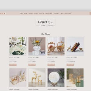 Op de afbeelding: Een website-mockup met een online shop met diverse woondecoratie-artikelen. Uitgelichte producten zijn onder meer een decoratief tapijt, een vaas met bloemen, fruitmanden, boekensteunen, een make-up organizer, gouden hertenbeeldjes en decoratieve glazen.