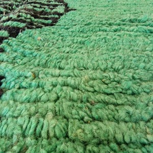 May include: Close-up of a green and black textured rug. The rug has a shaggy pile, with a vibrant green field and a dark, almost black, linear design running across it. The texture appears soft and plush.