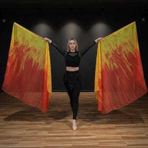 Bandiera lunga in seta / rossa e gialla / 50